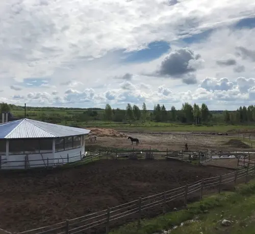 Частная конюшня (север) приглашает на постой спокойную кобылу или мерина.
