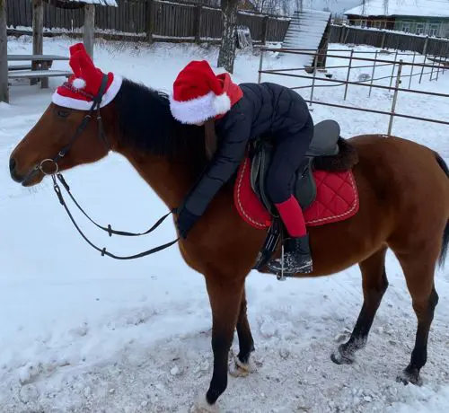 Продаю новогодний комплект для лошади