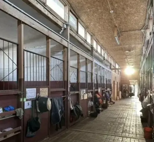 В КСК ФЕНИКС освобождается одно место